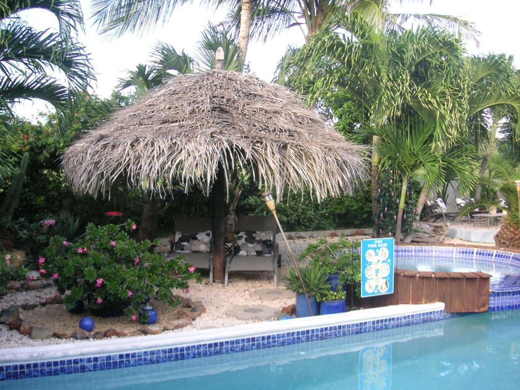 Bananas Apartments Adults Only Palm Beach Eksteriør billede