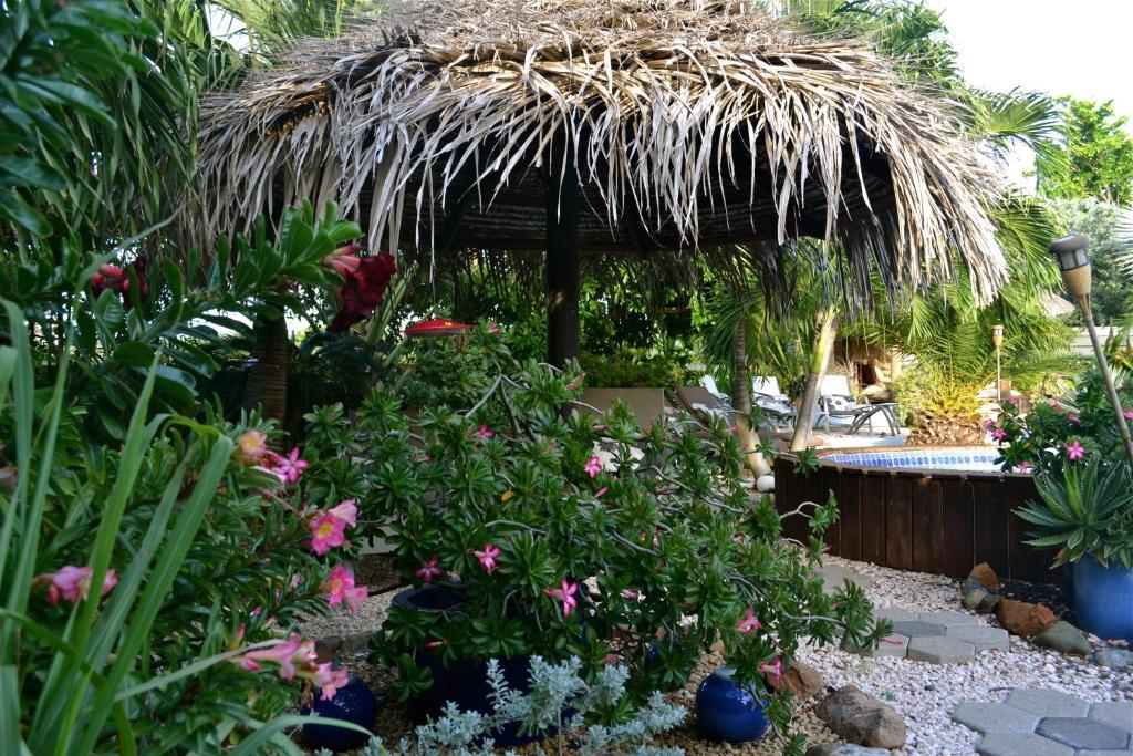 Bananas Apartments Adults Only Palm Beach Eksteriør billede