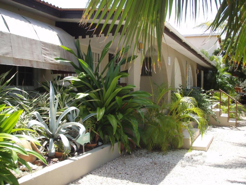 Bananas Apartments Adults Only Palm Beach Eksteriør billede
