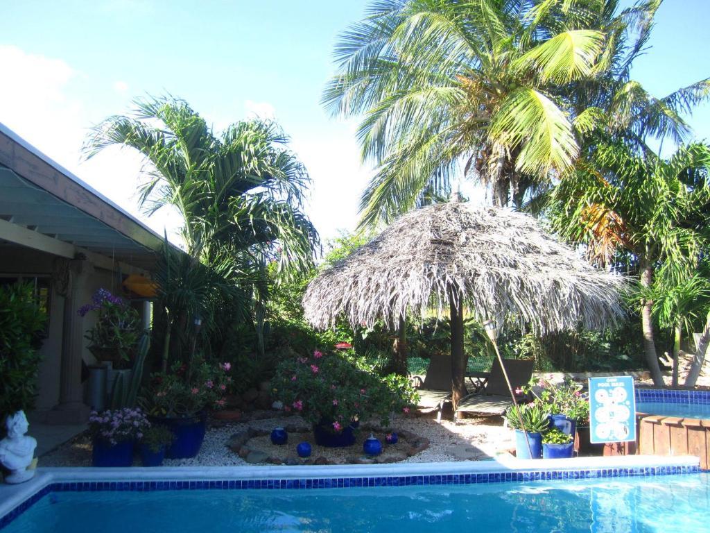 Bananas Apartments Adults Only Palm Beach Eksteriør billede