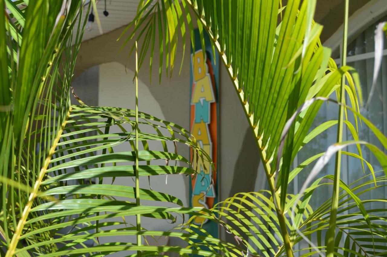 Bananas Apartments Adults Only Palm Beach Eksteriør billede